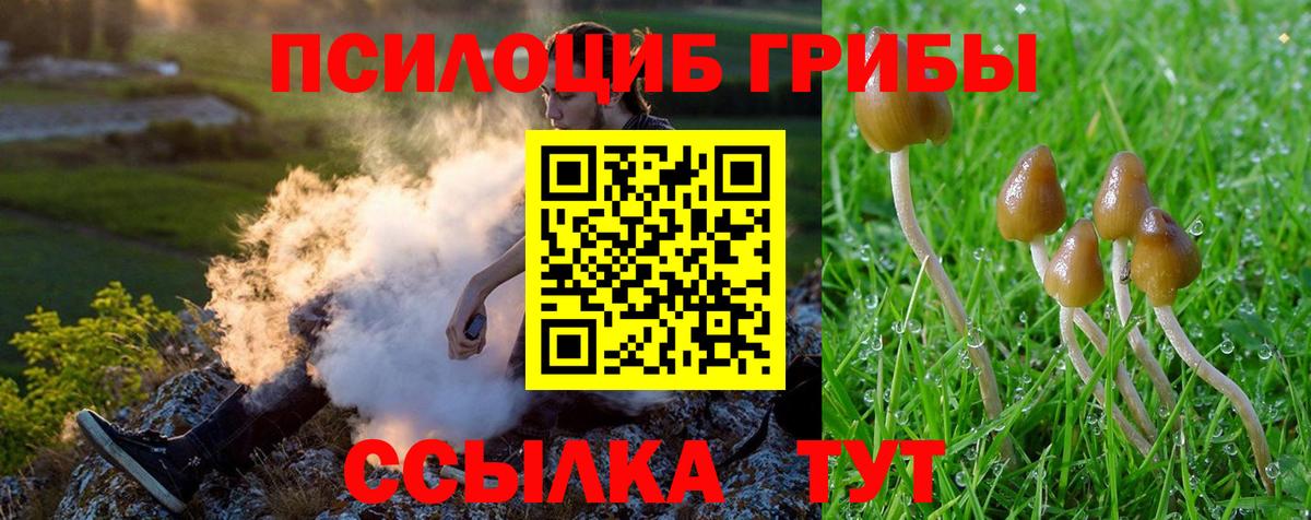 Галлюциногенные грибы мухоморы Удомля