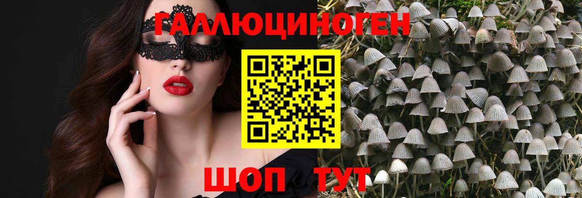 Удомля  Псилоцибиновые грибы Psilocybe  Вход с VPN 